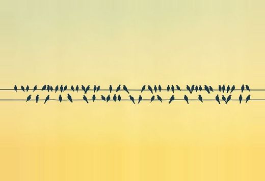 A coverage brief: one outlet, one survey, one milestone claim — and a corpus of ten neighbors in which the number appears exactly zero times